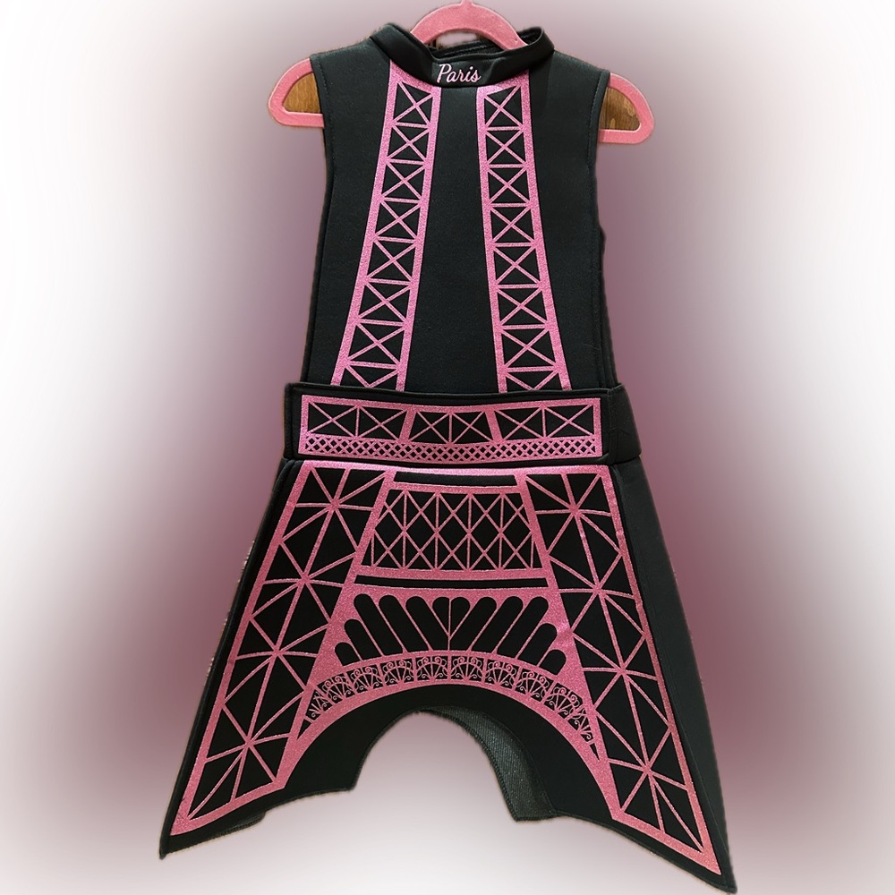 Chasing Fireflies Paris Costume/Children’s size  6/8